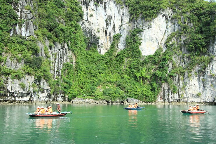 bamboo-boat