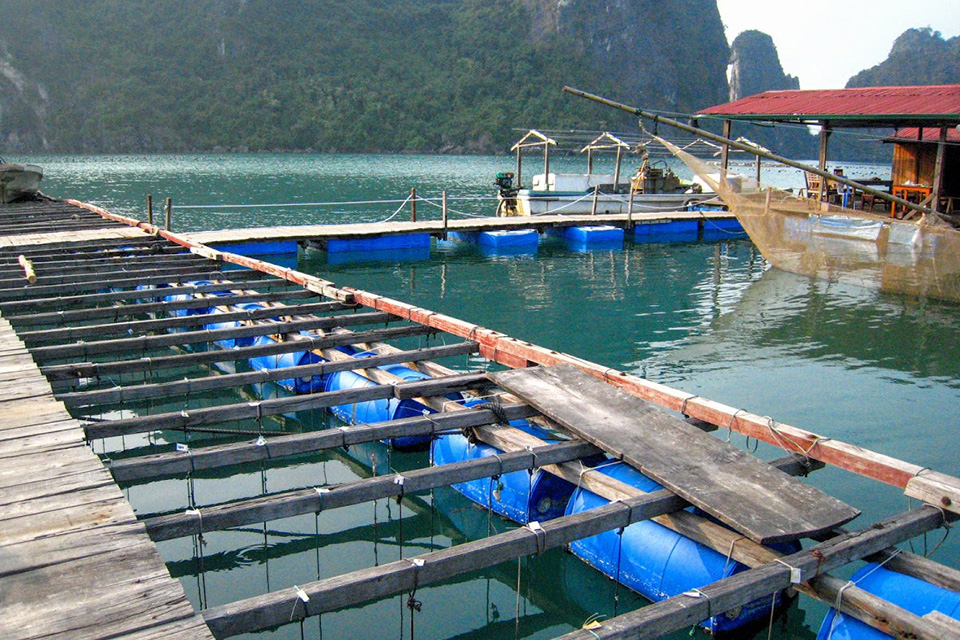 960-halong-pearl-farm-1