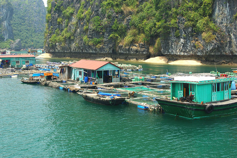 vung-vieng-village