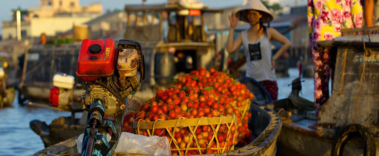 My Tho - Ben Tre private day trip