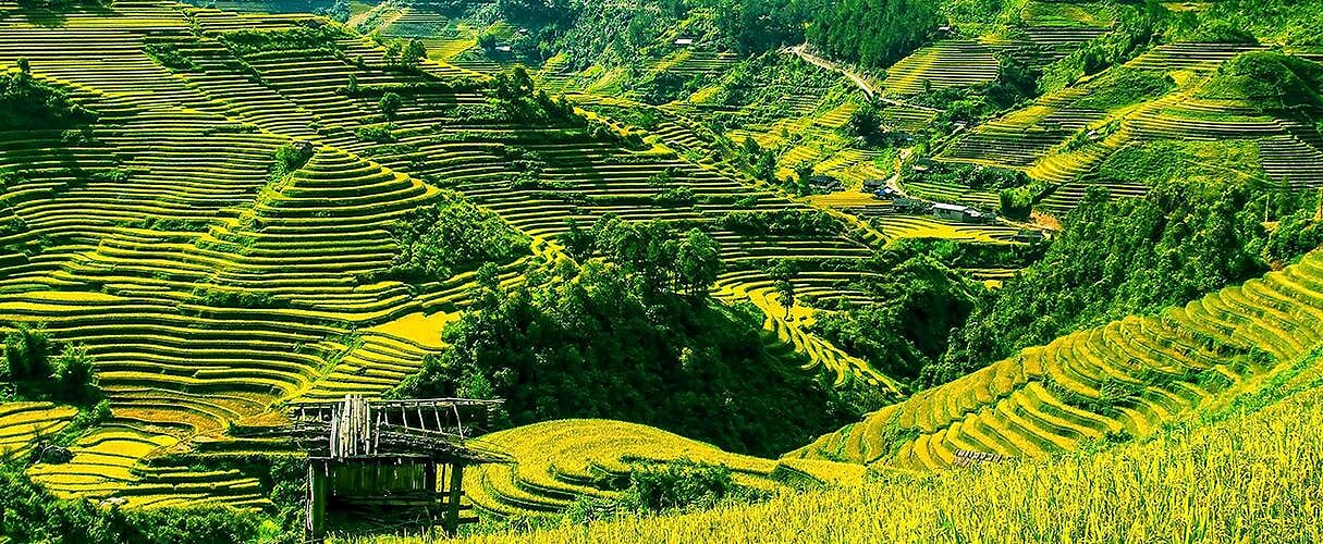 Combo Hanoi - Sapa - Halong 5 days by train