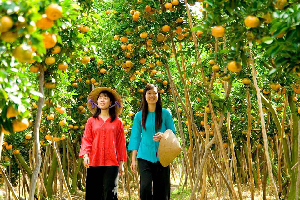 ben-tre-orchard-garden-my-tho-ben-tre-private-day-trip-1