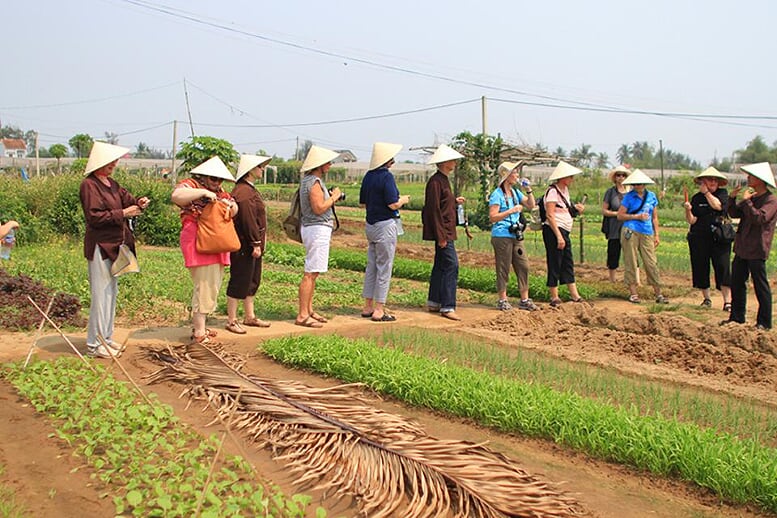 tra-que-vegetable-village-half-day-2