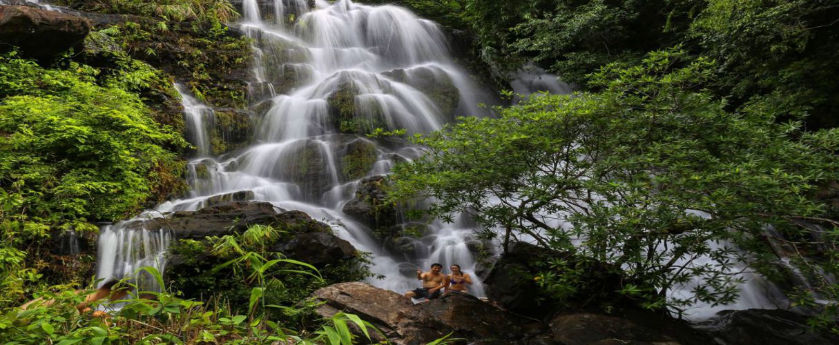 Botanic Garden walking tour half day