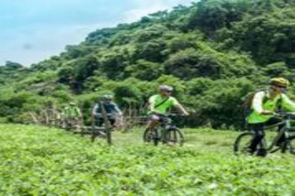 phong-nha-bicycle-full-day-2