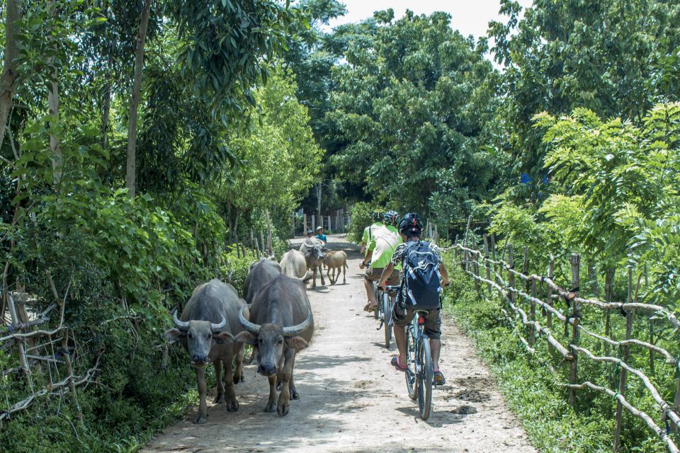 bong-lai-and-phong-nha-bicycle-full-day-1