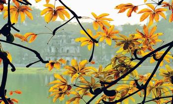 Where to go during autumn in Hanoi