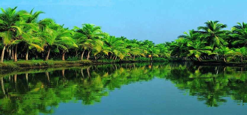 Ben Tre Coconut Festival 2015