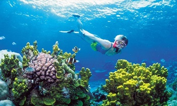 Best things to enjoy in Phu Quoc island