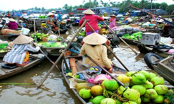 Best Time to Visit Mekong Delta