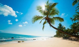 Enjoy the wilderness of Dai beach