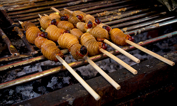 Grilled Larva