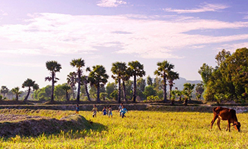 Mekong Delta in Brief