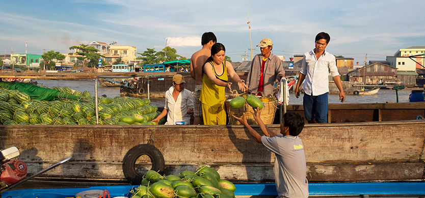 Morning In Mekong Delta