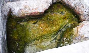 Royal well- Throne
