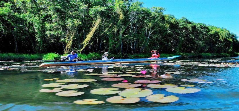 Top 5 ideal destinations in Long An