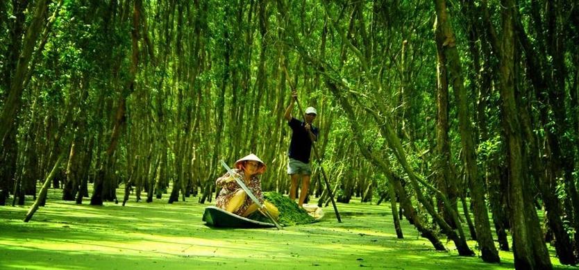 Travelling to Tra Su forest - Five things you must know