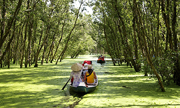 Vietnam takes urgent action to rescue Mekong River Delta