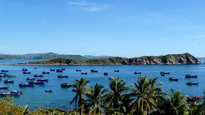 Halong Bay or Nha Trang Bay? What is the better choice?