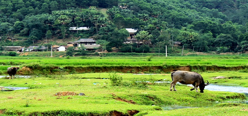 Discover Phu Tho Province -The Land Of Two World Heritage