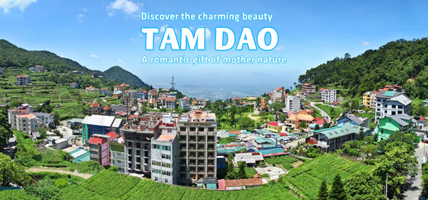 Discover the charming beauty of Tam Dao - A romantic gift of mother nature