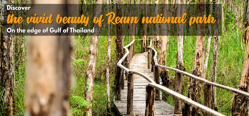 Discover The Vivid Beauty Of Ream National Park