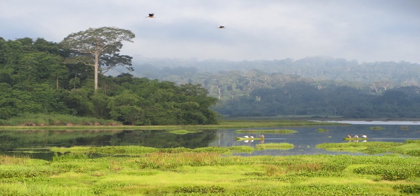 Explore Cat Tien National Park - The Top World Biosphere Reserve in Vietnam