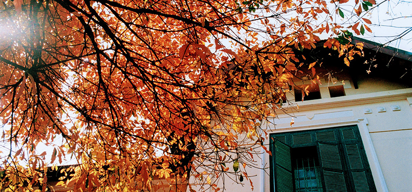 The 5 most attractive destinations in October in Vietnam