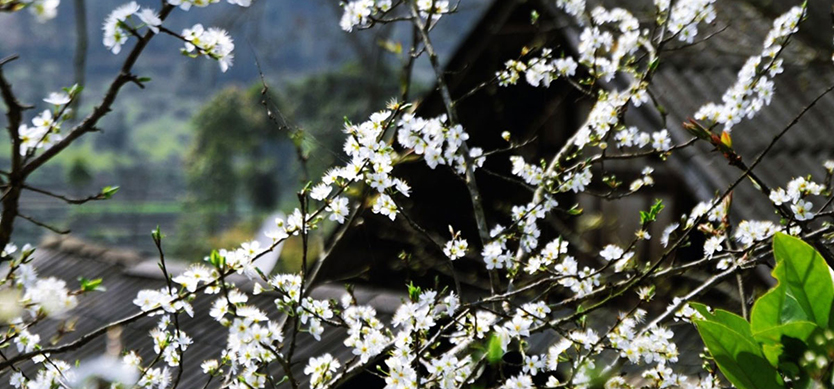 Top 4 destinations to discover in Vietnam in March