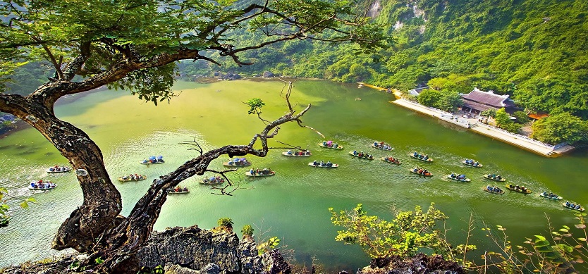 Top 5 National Parks In Northern Vietnam
