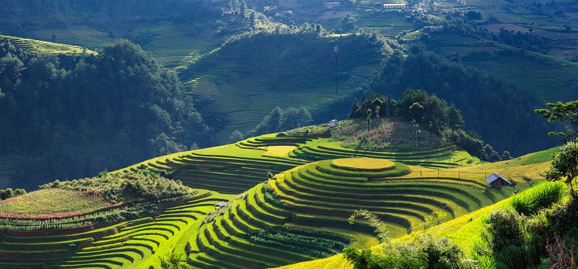 Top must-try things to do in Vietnam