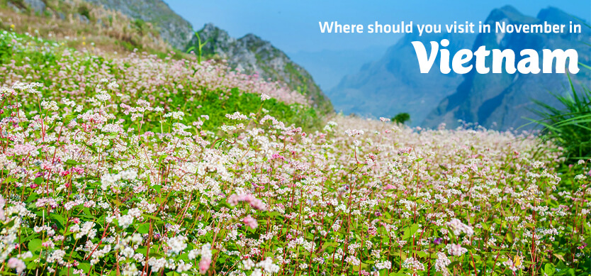 Where should you visit in November in Vietnam?
