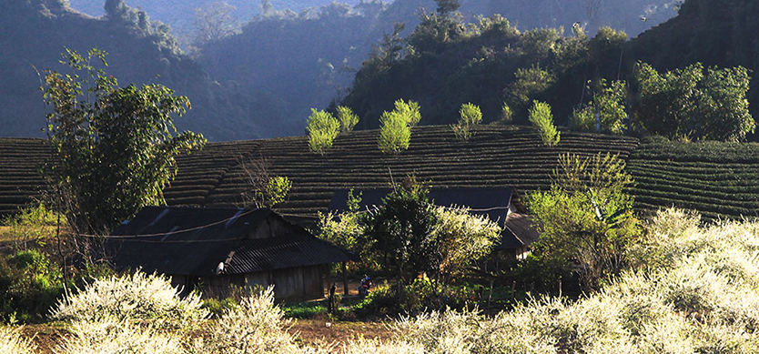 Why Should You Arrive In Vietnam In December
