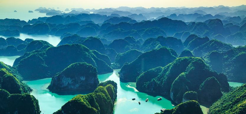 The Untouched Biodiversity of Halong Bay