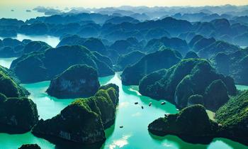 The Untouched Biodiversity of Halong Bay
