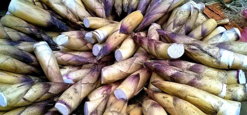 Bitter bamboo shoots - a must-try specialty in Mai Chau, Hoa Binh