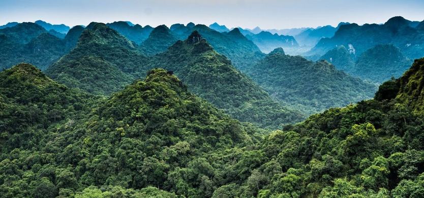 Experience an interesting trekking tour in Cat Ba National Park