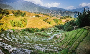 Muong Hoa Valley