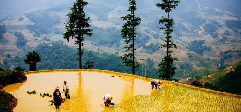 The best things to do in Sapa