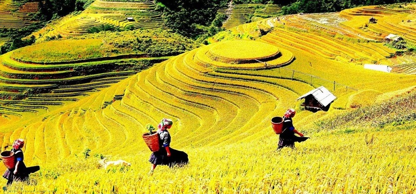 Top 10 Amazing Destinations in Sapa