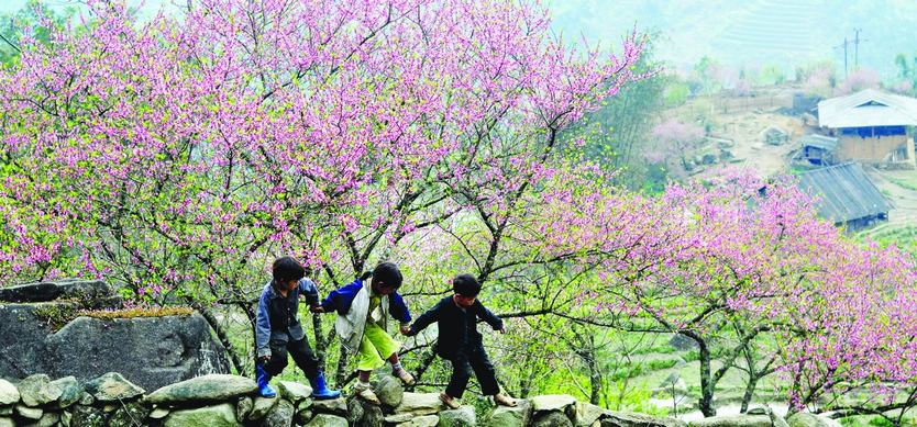 Visit Sapa in Spring
