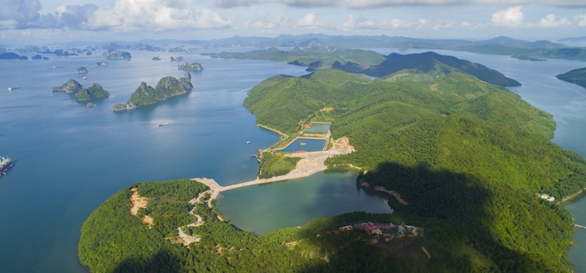The Vang Island