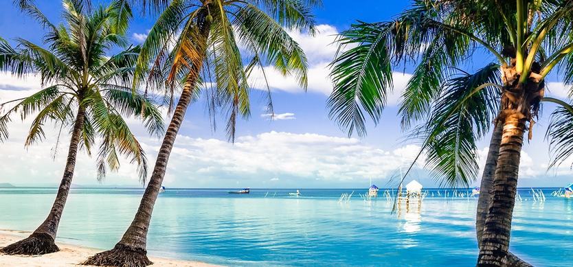 How to explore Vietnam?