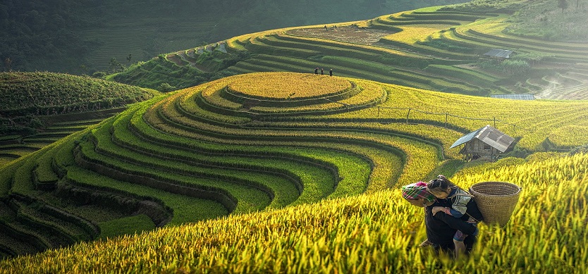 Suggested Itinerary For 3 Day Sapa Trip From Saigon