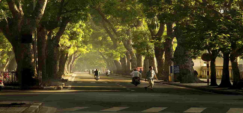 The best city to visit in Vietnam