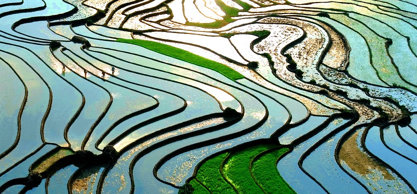 When is the best time to go to Sapa Vietnam