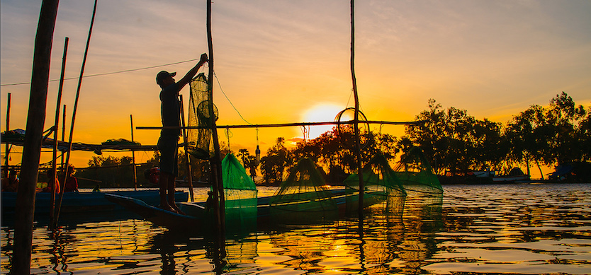 Exploring the colorful rhythm of the flood season in Mekong Delta