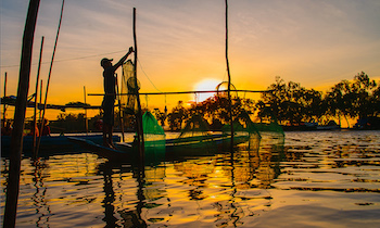 Exploring the colorful rhythm of the flood season in Mekong Delta