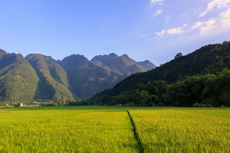 Ninh Binh - Mai Chau Eco-tour 3 days - Vietnam Group Tour