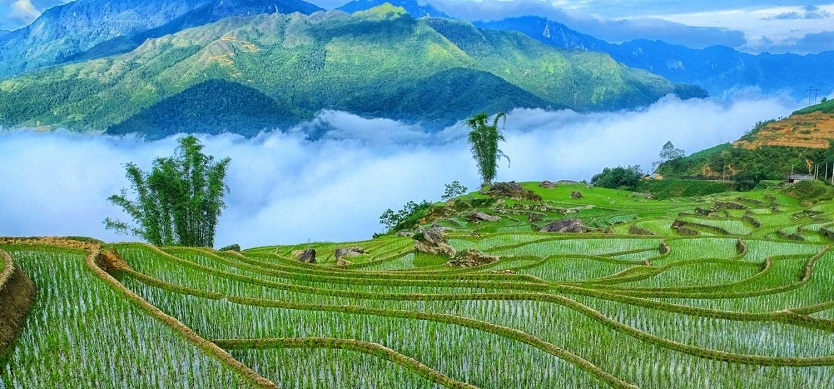 Sapa weather in April